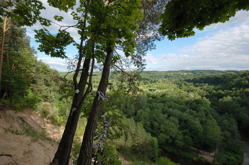 Vilnios slėnio panorama nuo Pūčkorių atodangos.