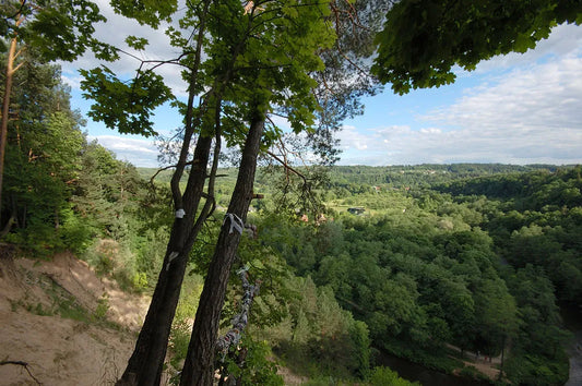 Vilnios slėnio panorama nuo Pūčkorių atodangos.