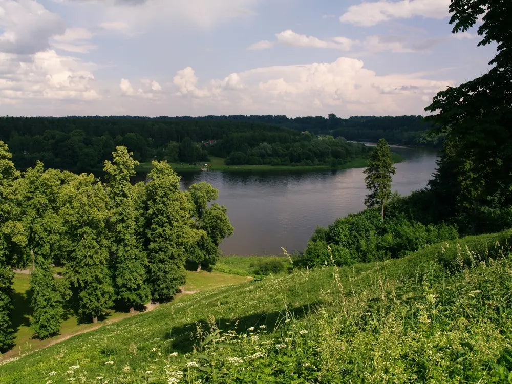Nemuno panorama nuo Vytauto kalno.