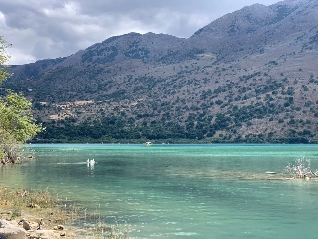 Kournas ežeras – šeimos išvykos kryptis Kretoje