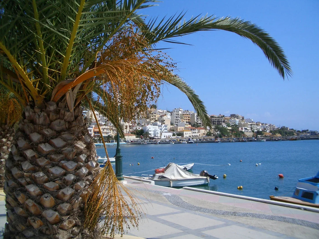 Sitia pakrantė, uostas ir miestas Kretoje