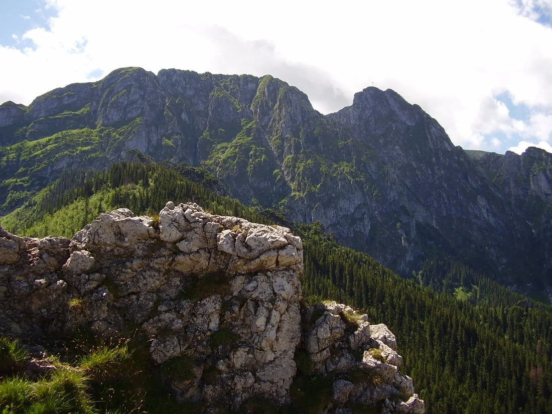 Giewont masyvas, matomas iš Sarnia Skała