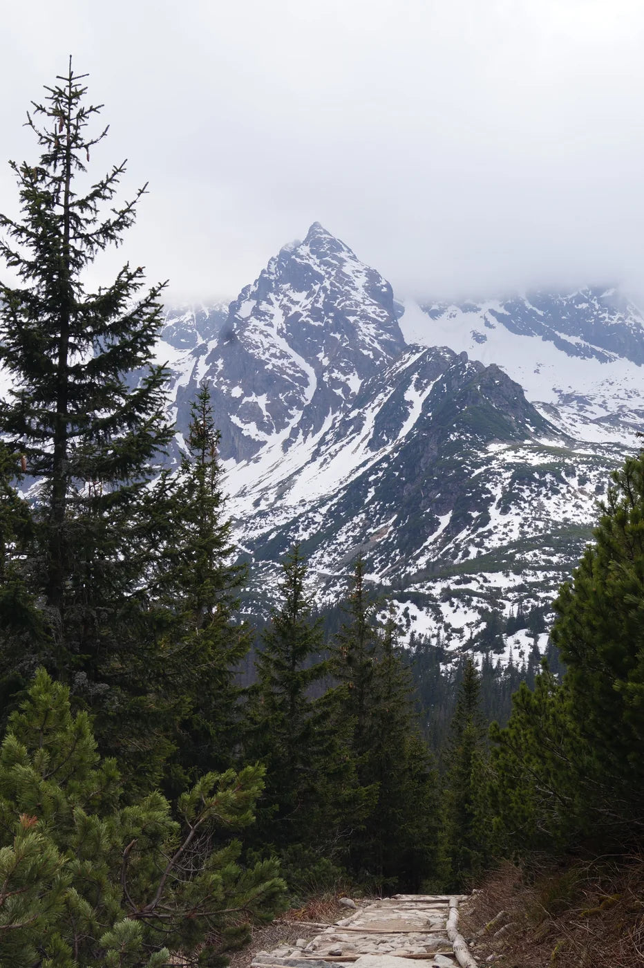 Kościelec kalnas Tatrų panoramoje