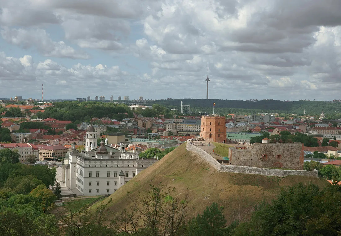 Vilniaus panorama su Gedimino pilies kalnu ir bokštu
