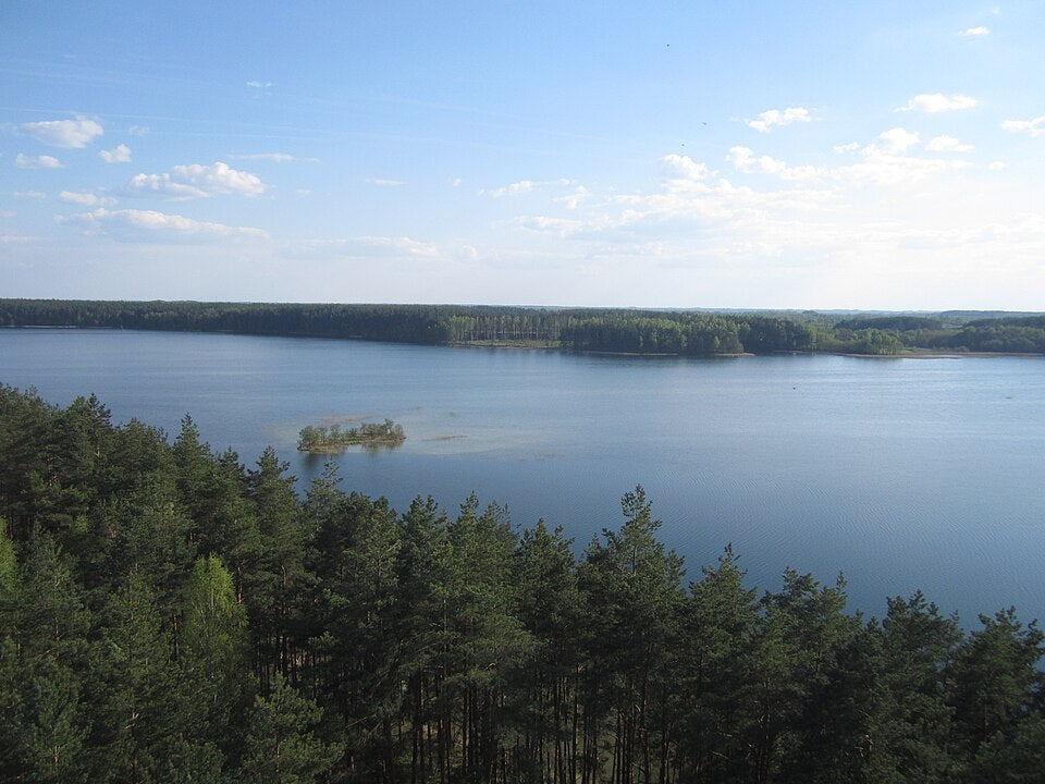 Baltųjų Lakajų ežero panorama Molėtų krašte