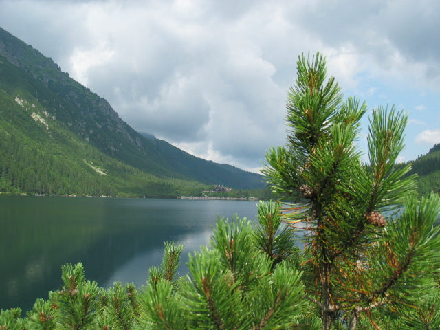 Morskie Oko ežeras ir Tatrų kalnai