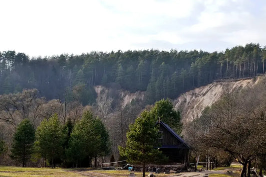 Pūčkorių atodanga ir miškingas Vilnios slėnio šlaitas