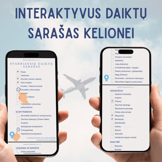 Interaktyvus daiktų sąrašas kelionei